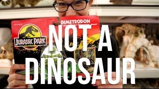 Dimetrodon is Not A Dinosaur [upl. by Buffo]