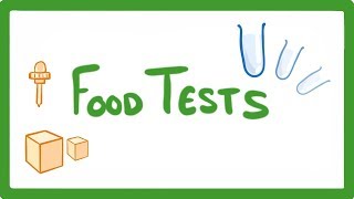 GCSE Biology  Food Tests Practicals 16 [upl. by Tim]