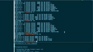 Linux Commands Tutorial  Basic file handling amp output redirection [upl. by Harolda]