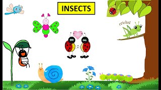 CBSE Class 4 Science Insects [upl. by Eckblad368]