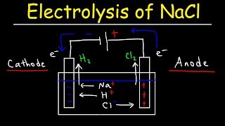 Electrolysis of Sodium Chloride  Electrochemistry [upl. by Pubilis]