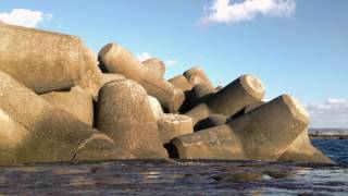 Tetrapod Coastal protection by BETONBLOCK® [upl. by Rolyt]