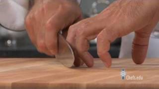 How to Hold a Knife  Properly Using a Chefs Knife [upl. by Athalie171]