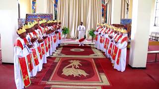 Ethiopian Orthodox Tigrigna Mezmur ምብራቅ ኢኺ [upl. by Haeckel158]