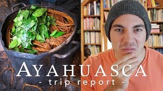 Ayahuasca Trip Report [upl. by Evilo]