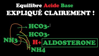 🔴 EQUILIBRE ACIDEBASE EXPLIQUÉ TRÈS CLAIREMENT   DR ASTUCE [upl. by Mairhpe]