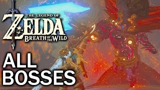 Zelda Breath of the Wild All Bosses [upl. by Edla]