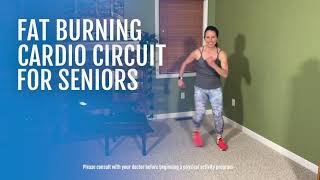 Fat Burning Cardio Circuit for Seniors  SilverSneakers [upl. by Glassman]