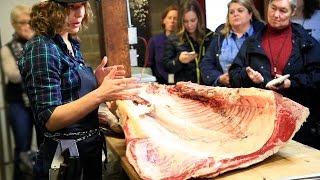 Beef Breakdown Workshop Butchering a Forequarter Cow [upl. by Raymonds]