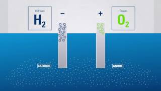 Electrolysis Producing hydrogen from water [upl. by Airotal967]