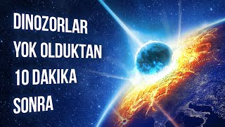 Dinozorların Nesli Tükendikten 10 Dakika Sonra Neler Olduğunu İzleyin [upl. by Norrv]