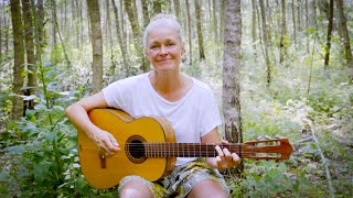 Die Bremer Stadtmusikanten  Kinderlieder zum Mitsingen  Sing mit Anja [upl. by Mata831]