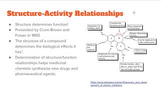 Structure Activity Relationships and Medicinal Chemistry [upl. by Derick]