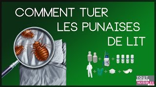 comment tuer les punaises de lit kit traitement professionnel [upl. by Bilski]