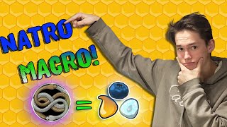 How to MACRO in Bee Swarm Simulator Natro Macro Tutorial [upl. by Devaney]