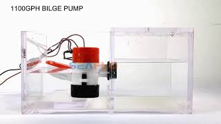 SEAFLO 1100GPH Bilge Pump [upl. by Wharton]