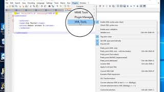 Notepad Validate xml with xsd [upl. by Lyrehs233]