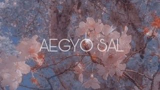 AEGYO SAL SUBLIMINAL BUNDLE EXTREMELY POWERFUL [upl. by Auhoj]