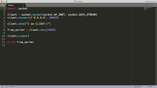 Python Socket Programming Demo [upl. by Adnof]