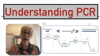 Understanding PCR [upl. by Trix895]