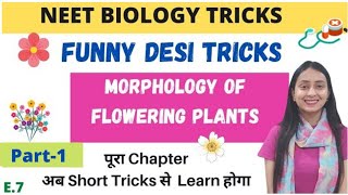 NEET BIOLOGY TRICKS Morphology of Flowering Plants  Part1 [upl. by Cooley]