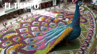 Inicia la Feria de las Flores de Medellín EL TIEMPO [upl. by Oicneconi]