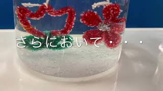 おうちでできる科学実験「キラキラ結晶づくり」 [upl. by Bullard]