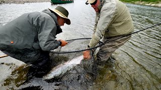 Restigouche River Salmon [upl. by Fifi]