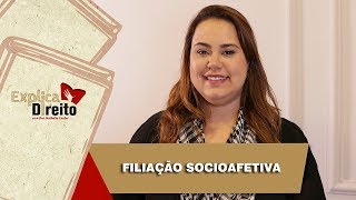 Explica Direito Filiação Socioafetiva  2019 [upl. by Farr]