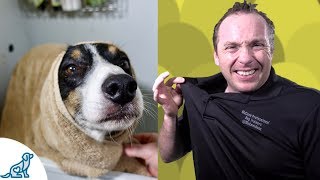 Simple Hacks To Bath Your Dog  Professional Dog Training Tips [upl. by Dragon555]