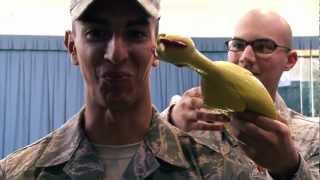 USAF Honor Guard  Rubber Chicken Bearing Test [upl. by Atteras987]