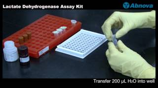 Lactate Dehydrogenase Assay Kit [upl. by Malloch]