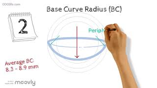 Anatomy of a Contact Lens [upl. by Damal]