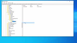 How To Enable TLS 12 on Windows 10 Registry [upl. by Pablo]