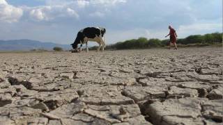 Desventajas del uso de Agroquímicos [upl. by Acilef84]