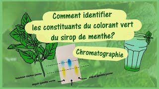 Comment identifier les constituants du colorant vert Chromatographie  TP PhysiqueChimie [upl. by Huxham982]