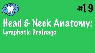 Head amp Neck Anatomy  Craniofacial Lymphatics  INBDE [upl. by Osnerol]