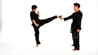 How to Do a Roundhouse Kick  Taekwondo Training [upl. by Kati791]