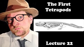 Lecture 22 The First Tetrapods [upl. by Piers537]