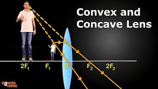 Convex and Concave Lenses [upl. by Esiuole]