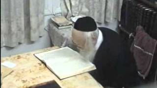 Rabbi Moreinu Ha Rav Elyashiv Shtaigging  Learning  Rare Video Footage [upl. by Delija776]