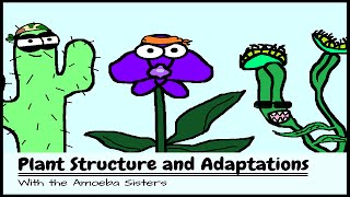 OLD VIDEO Plant Structure and Adaptations [upl. by Esinehc]