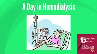 A day in hemodialysis [upl. by Freeman443]