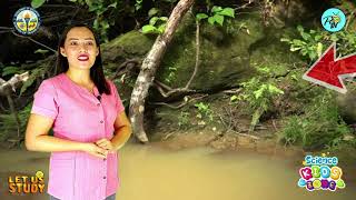 SCIENCE 4 Quarter 2 Week 3 Episode Terrestrial and Aquatic Plants [upl. by Esdnyl]