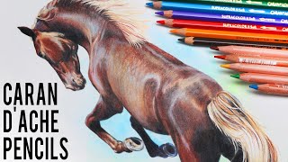 How to Draw a Realistic Horse Using Caran dAche Luminance and Supracolor Pencils [upl. by Berni]