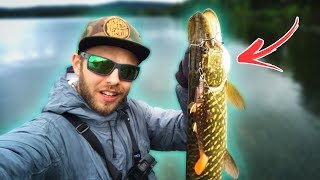 4 Tips for PIKE FISHING from the Shore 🐊 [upl. by Markman]