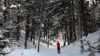 Cross Country Skiing  A Pure Michigan Winter [upl. by Caundra]