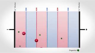 Electrodialysis Reversal to Treat Organic Wastewater  Flex EDR Organix [upl. by Rus]