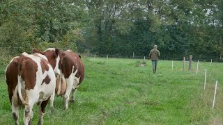 1 JOUR A LA FERME avec un éleveur laitier [upl. by Adeuga]