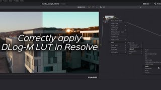 Properly Apply Mavic 2 DLogM to Rec709 LUT in DaVinci Resolve [upl. by Retsel]